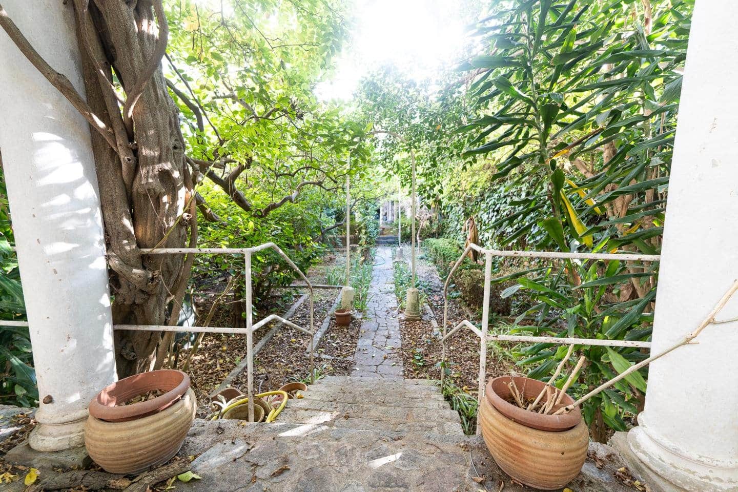 ENTRESUELO CON TERRAZA Y JARDIN EN SOLLER - Foto 4
