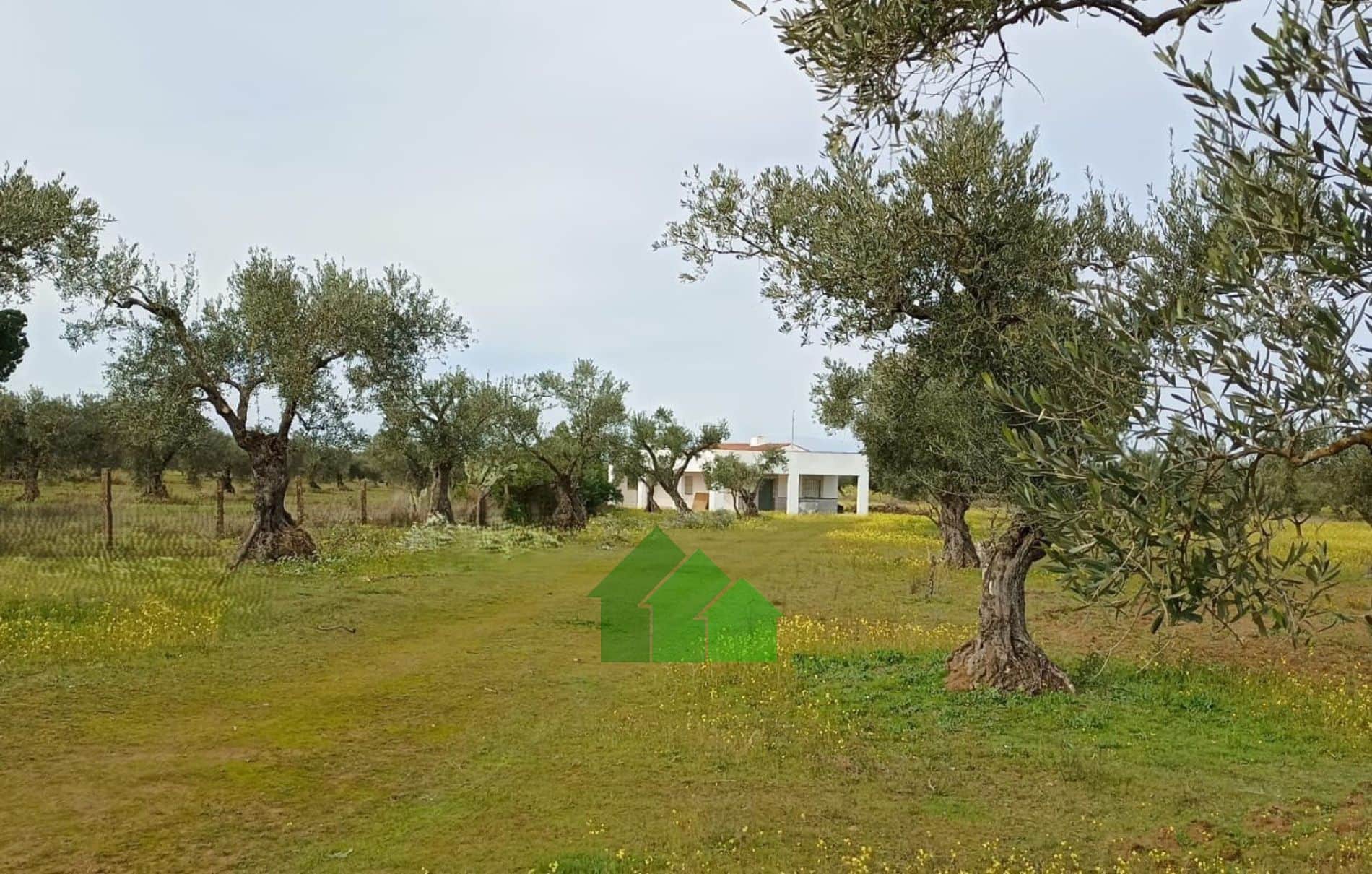 C-1042: VENTA DE CASA DE CAMPO CON GRAN SUPERFICIE DE TERRENO. LOS ARENALES. MONTIJO - Foto 1
