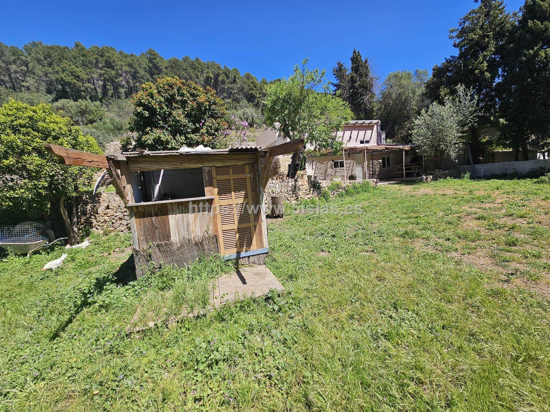 Terreno - Esporles - Foto 1