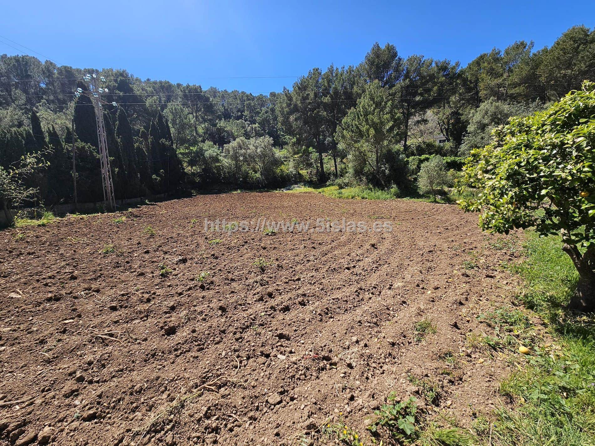 Finca  rústica con casa reformada - Foto 4