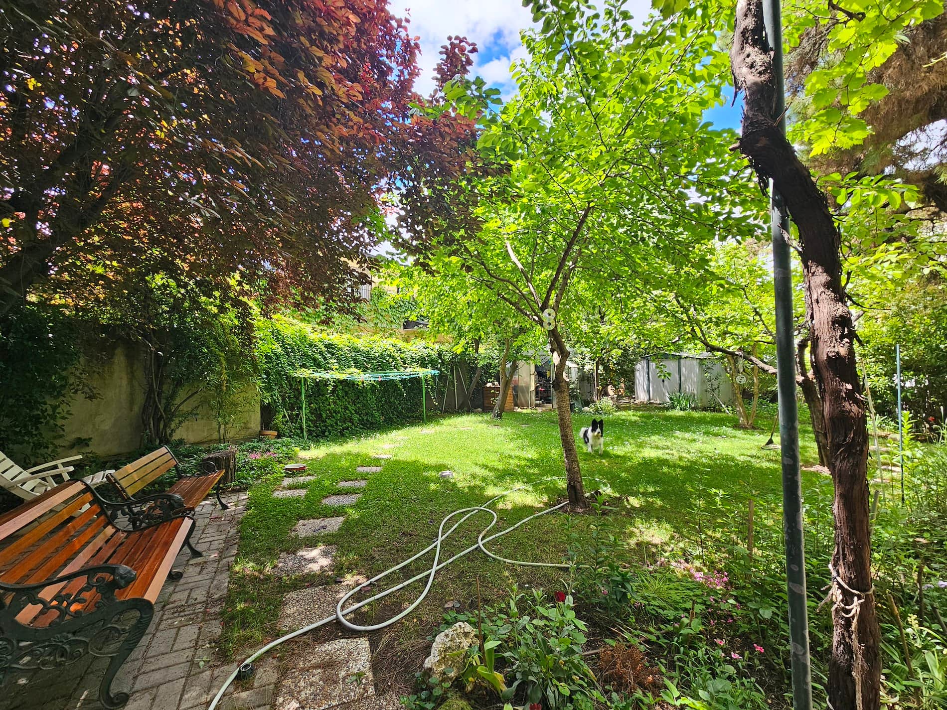 Chalet - Marbella - Mirasierra - Madrid - Foto 4