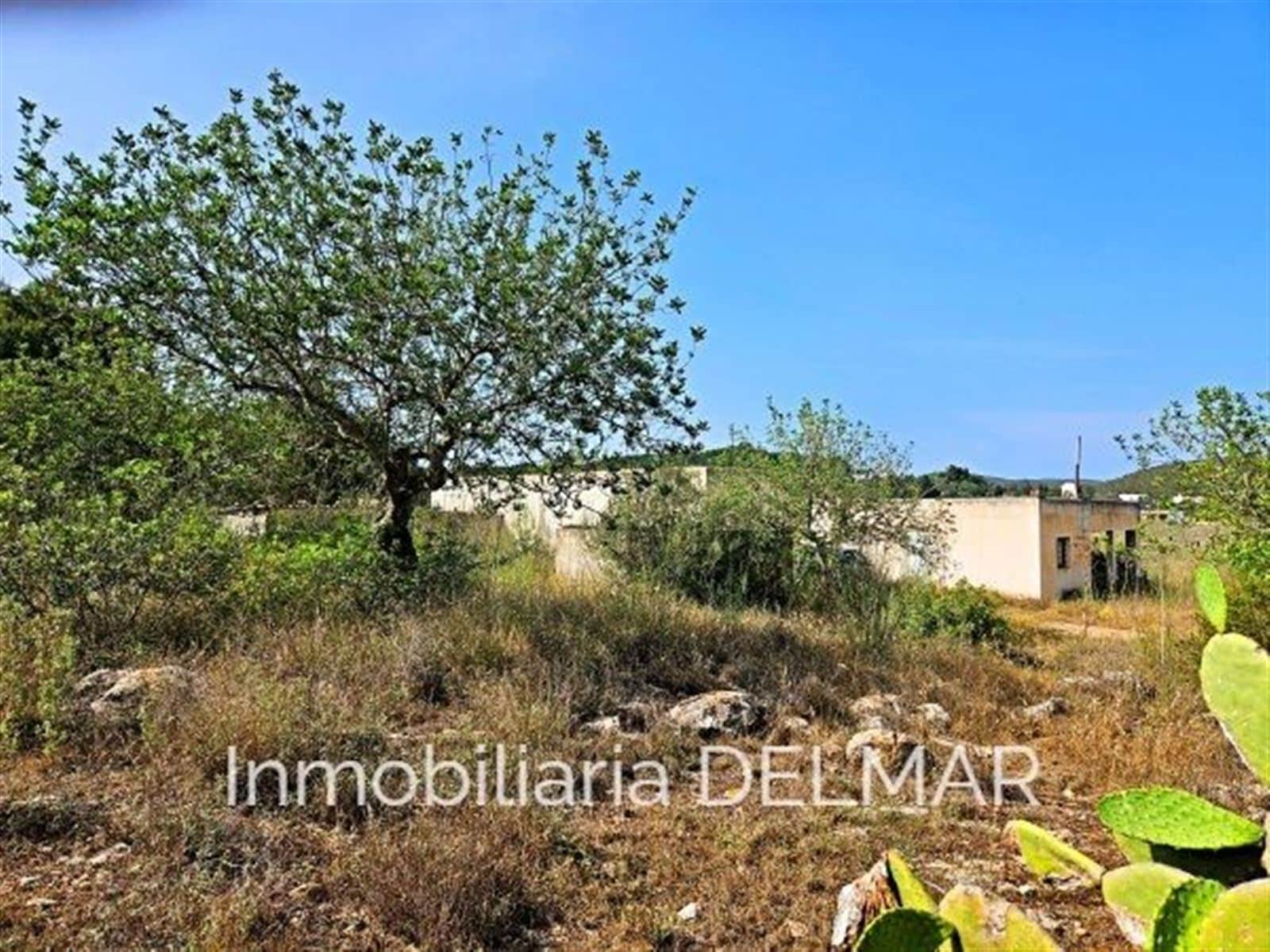 FINCA EN SAN MATEO - Foto 1