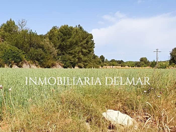 TERRENO DE CULTIVO CON CONSTRUCCIÓN - Foto 2