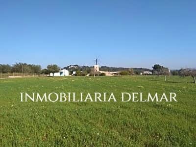 TERRENO DE CULTIVO CON CONSTRUCCIÓN - Foto 4