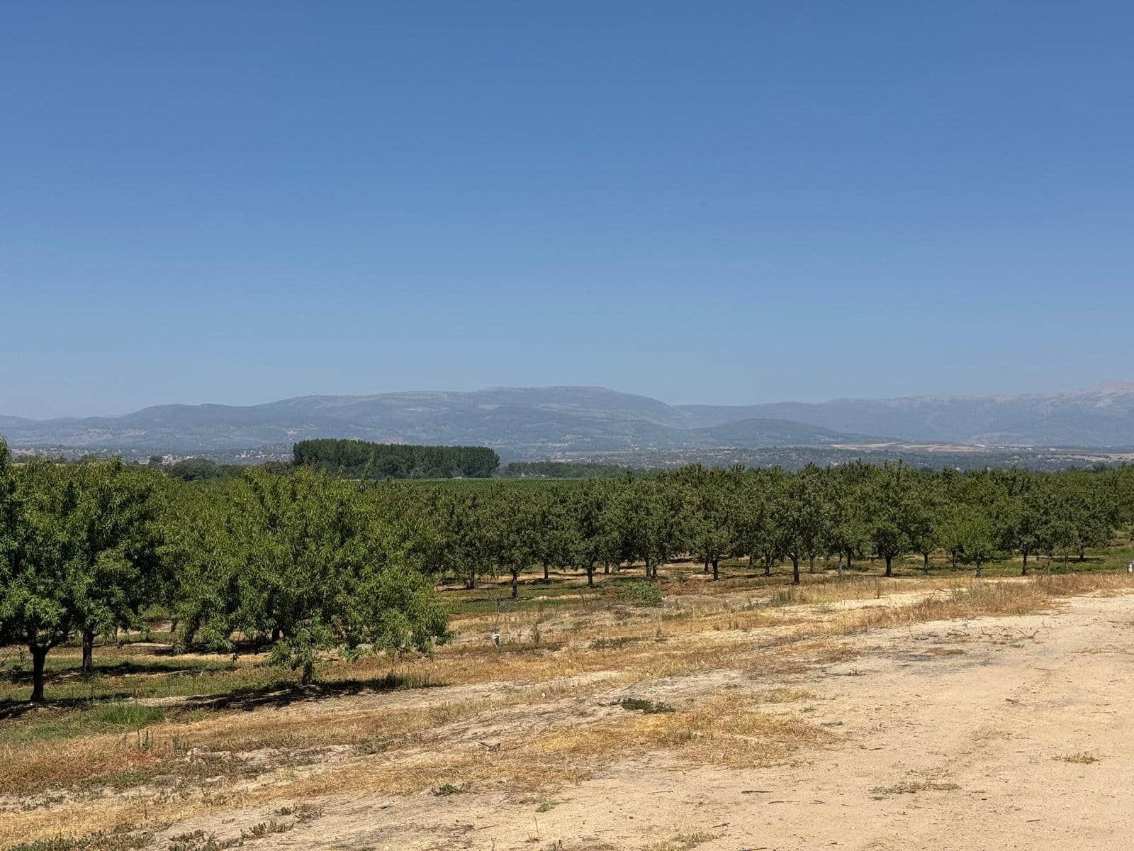 Terreno - Majadas - Foto 2