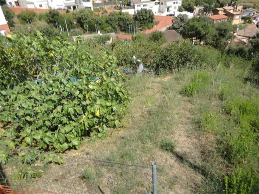 ESTUPENDO TERRENO - Foto 1