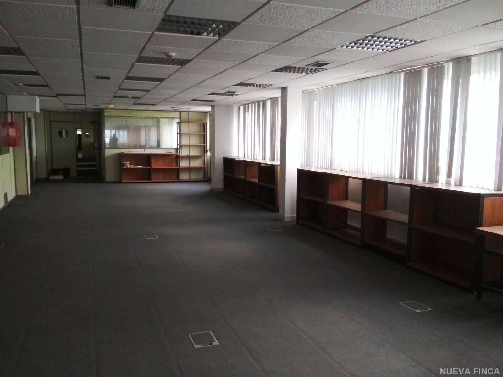 OFICINAS EN ALCALDE MARTIN COBOS - Foto 3