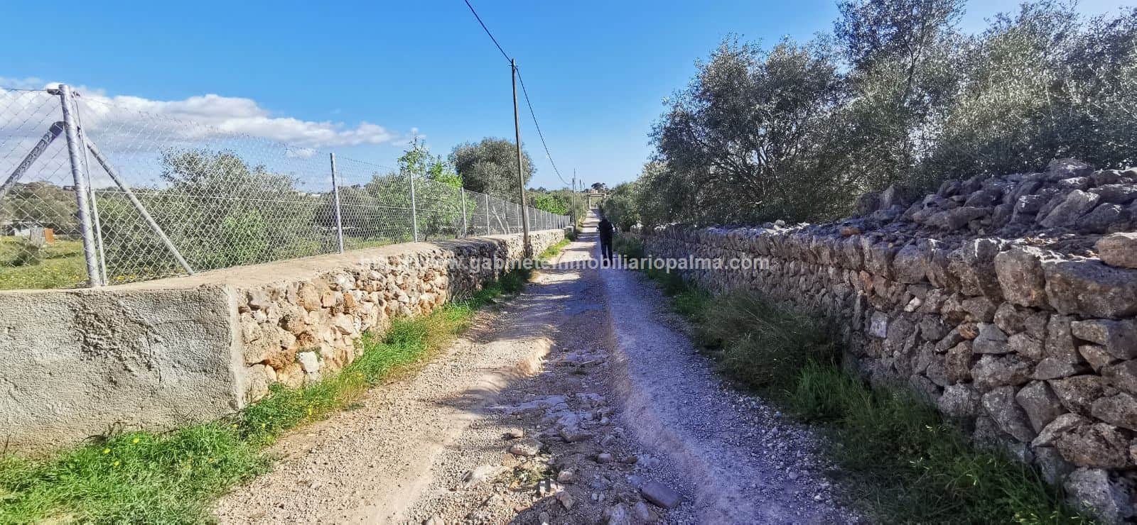 TERRENO EN MARRATXÍ - Foto 1