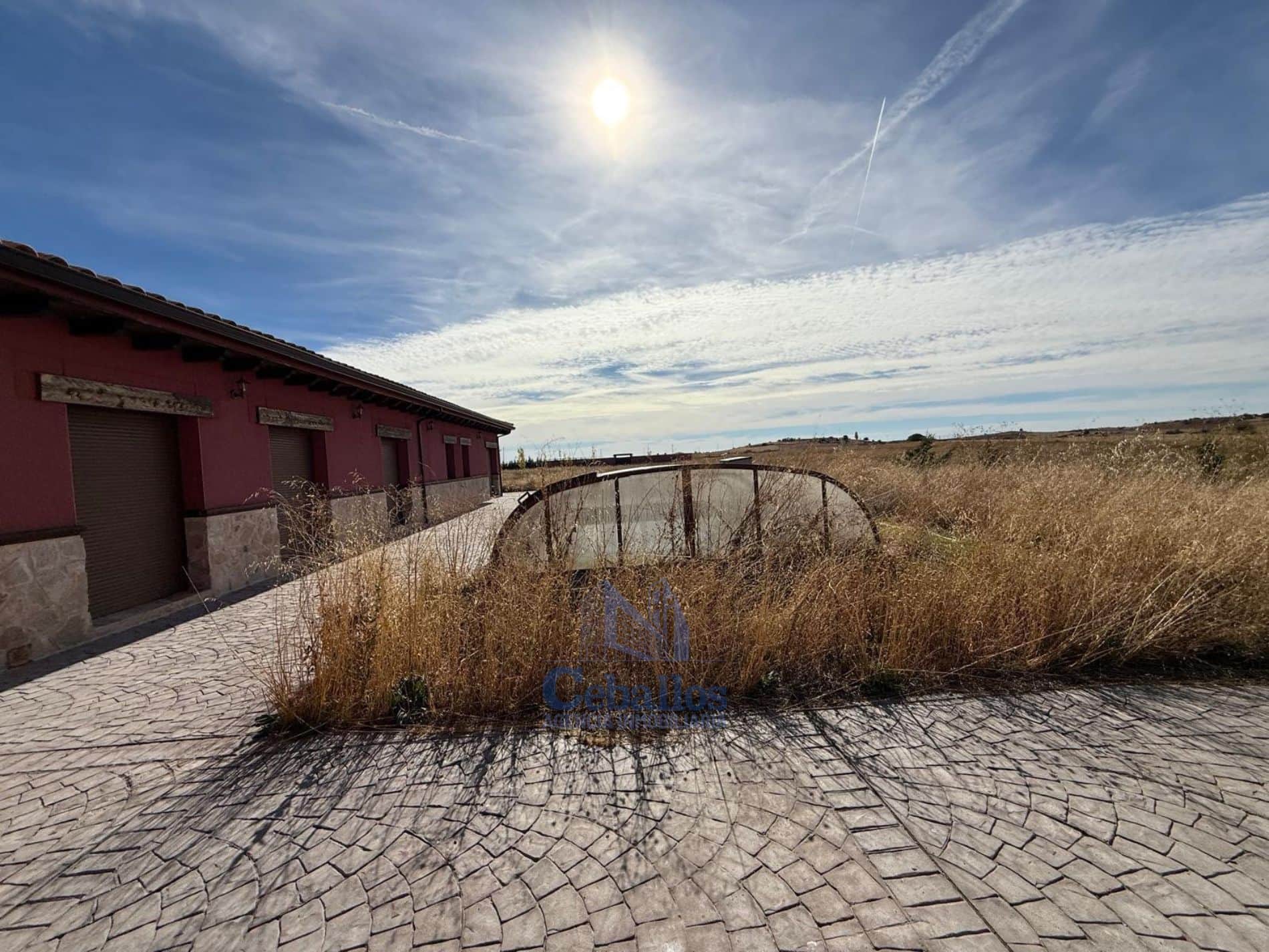 🐎 FINCA ÚNICA CON PLAZA DE TOROS PRIVADA EN FUENTELAENCINA (GUADALAJARA) - Foto 5