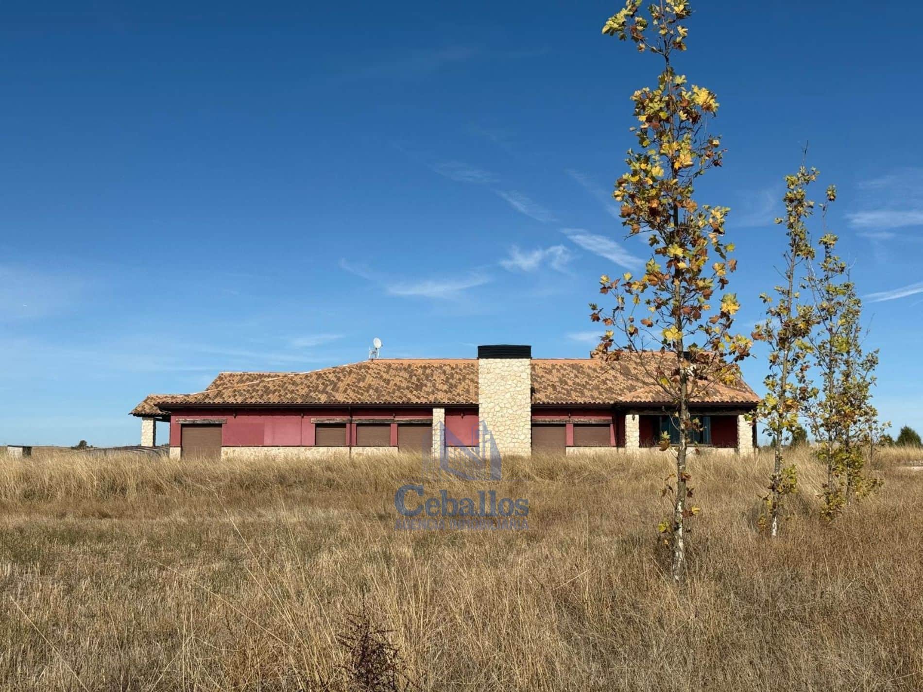 🐎 FINCA ÚNICA CON PLAZA DE TOROS PRIVADA EN FUENTELAENCINA (GUADALAJARA) - Foto 2