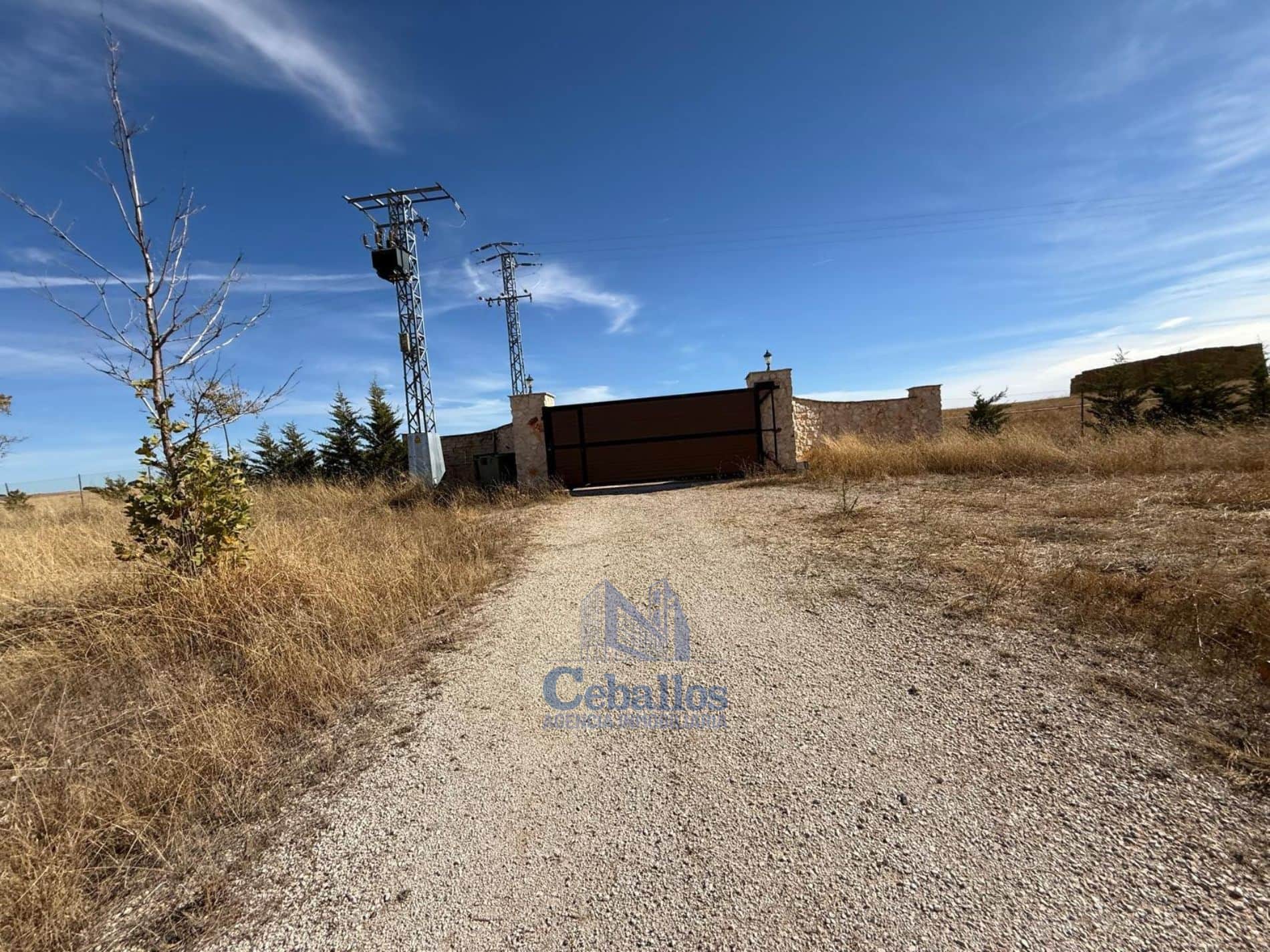 🐎 FINCA ÚNICA CON PLAZA DE TOROS PRIVADA EN FUENTELAENCINA (GUADALAJARA) - Foto 4