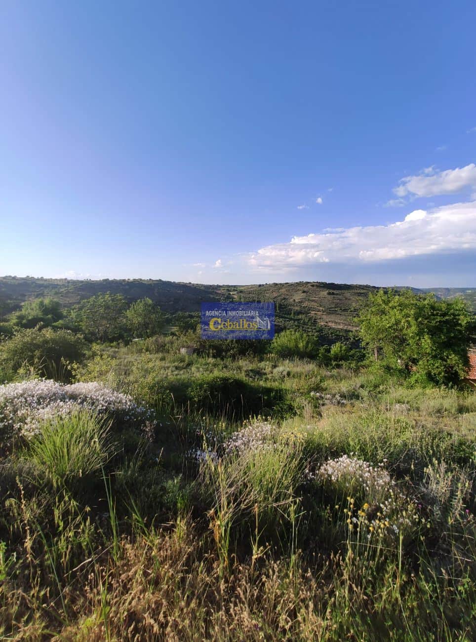 Terreno - Camino La Pililla - Horche - Foto 2