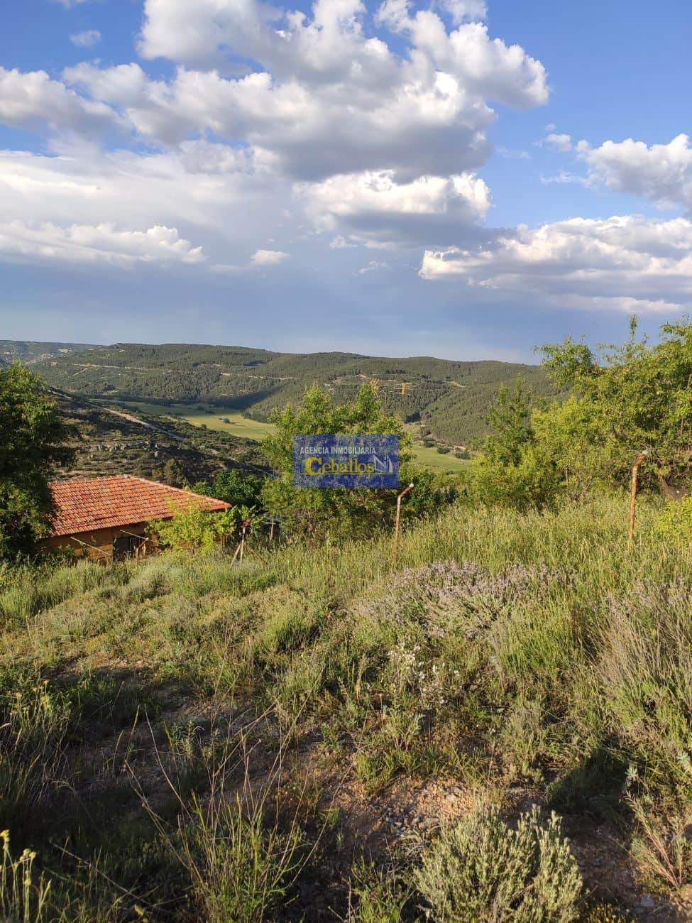 Terreno - Camino La Pililla - Horche - Foto 4