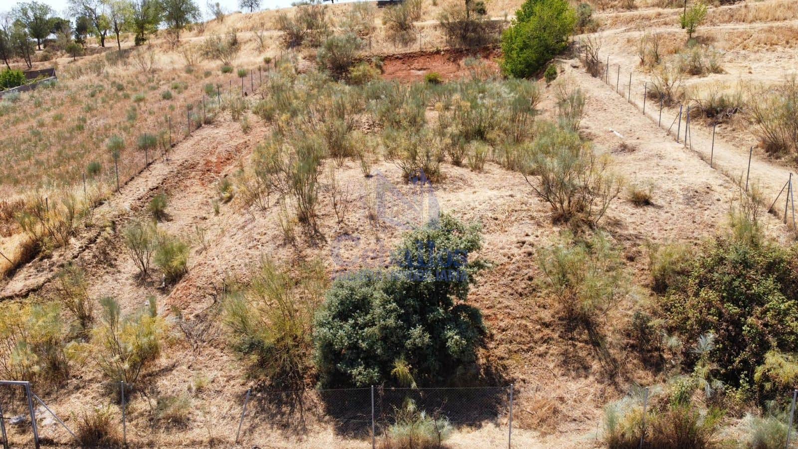 Parcela Exclusiva en Cabanillas del Campo: ¡Tu Proyecto Residencial Comienza Aquí! - Foto 1