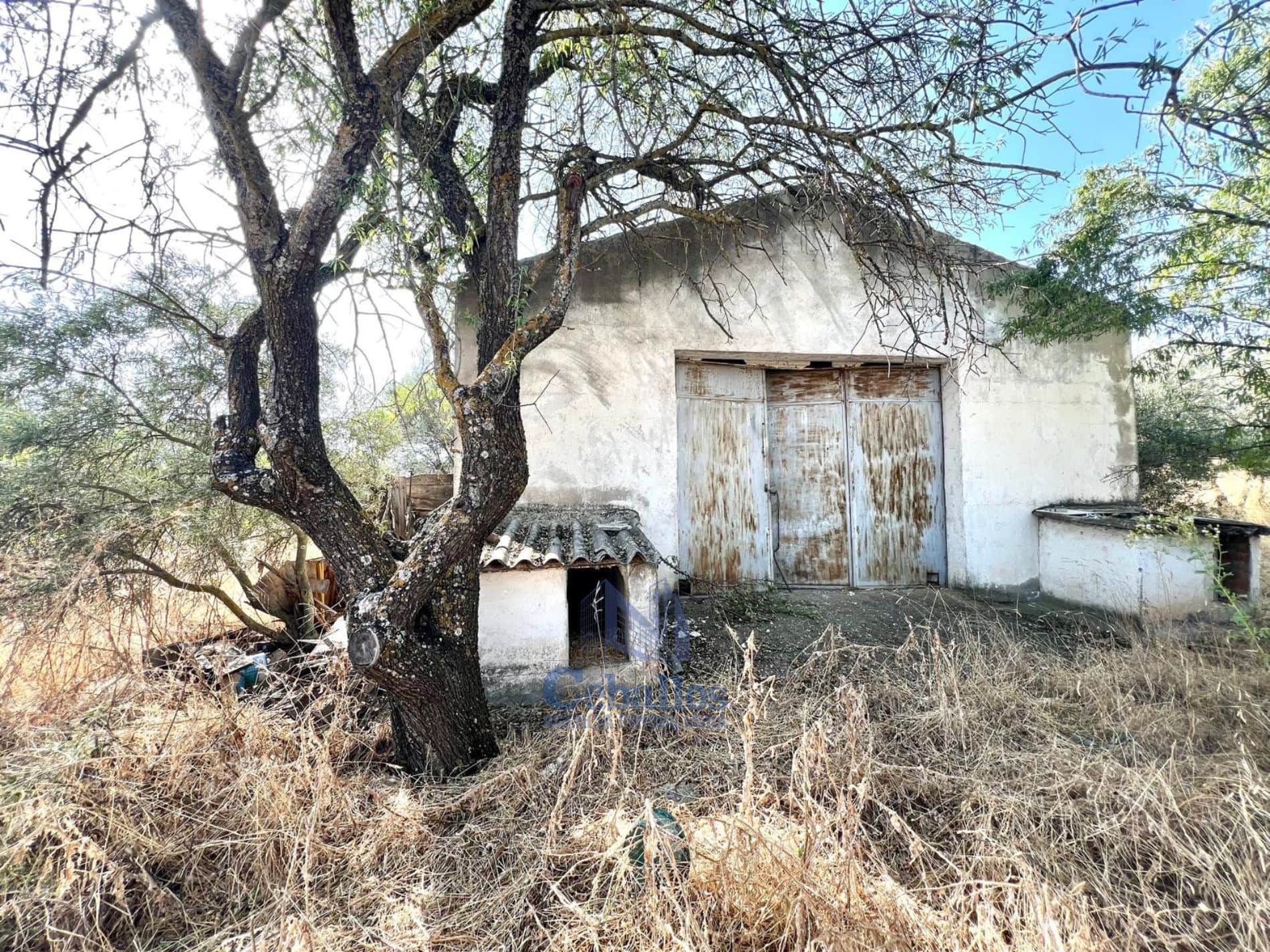 🌳 Terreno Rústico con Nave – Oportunidad Única en Zona de Expansión de Guadalajara - Foto 5