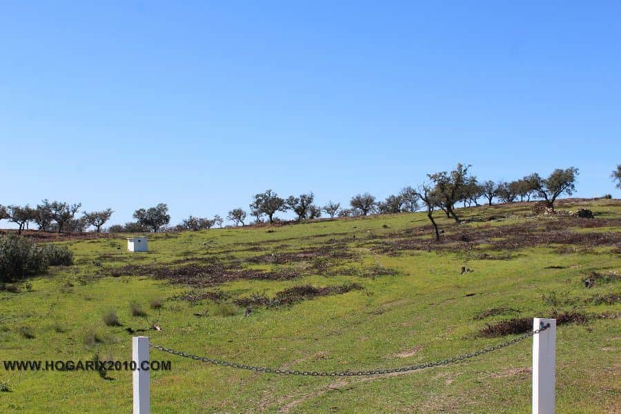 Gran parcela en Almonaster La Real - Foto 1