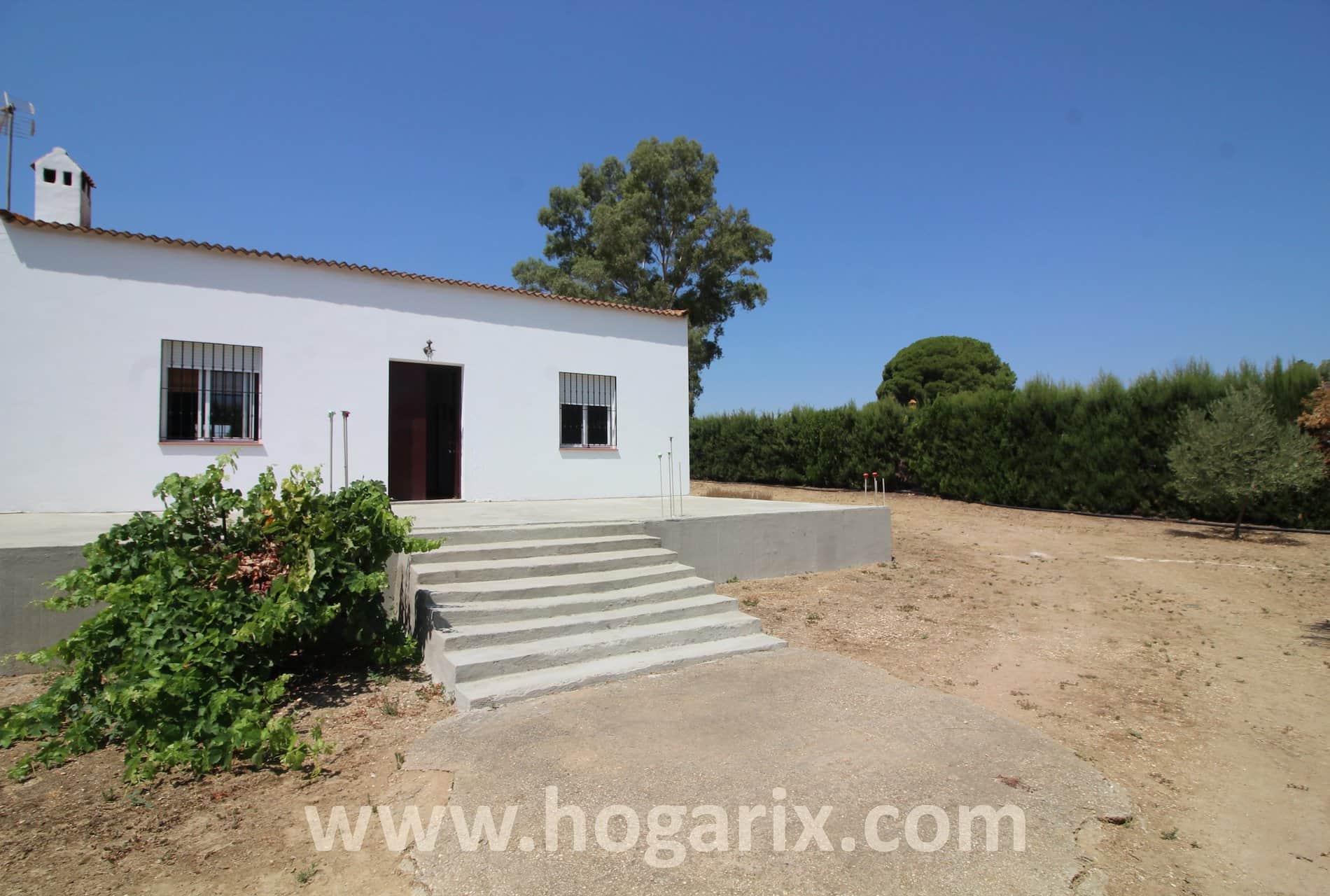 Gran parcela en Trigueros - Foto 2