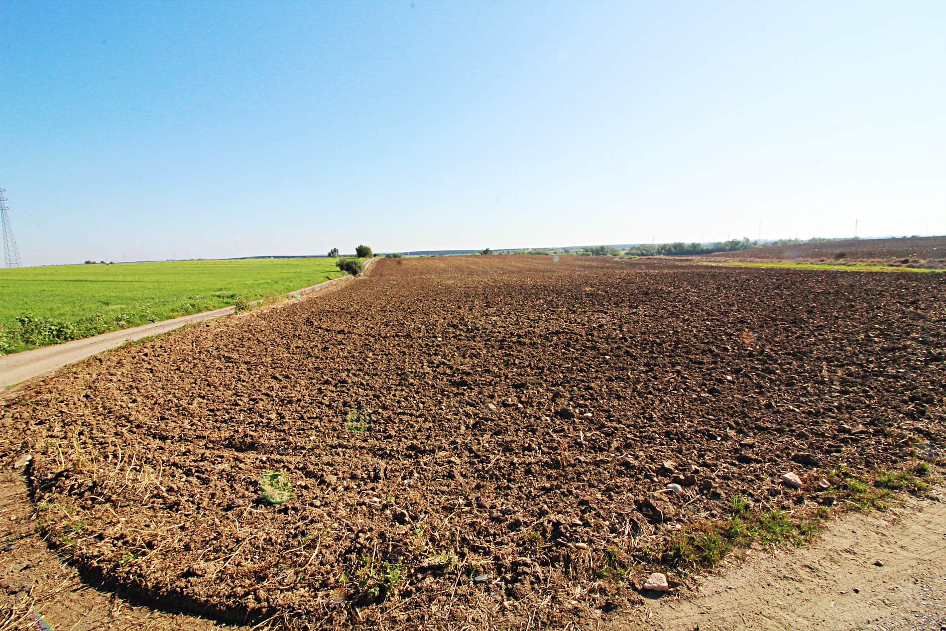 MAGNIFICA FINCA EN LA ZONA DE LA RIBERA - Foto 3