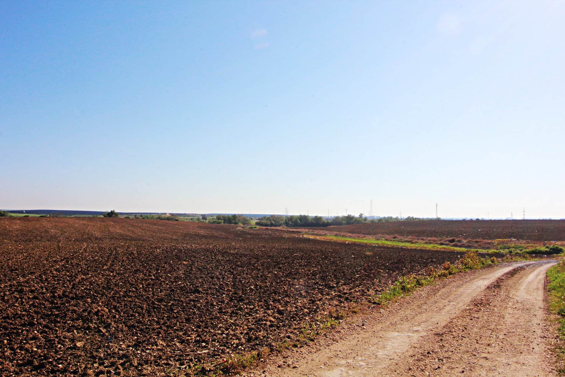 MAGNIFICA FINCA EN LA ZONA DE LA RIBERA - Foto 4