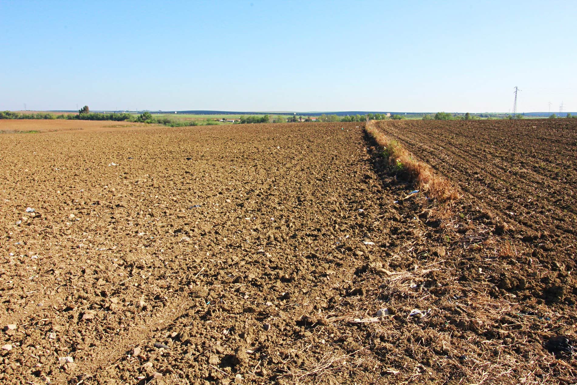 MAGNIFICA FINCA EN LA ZONA DE LA RIBERA - Foto 5