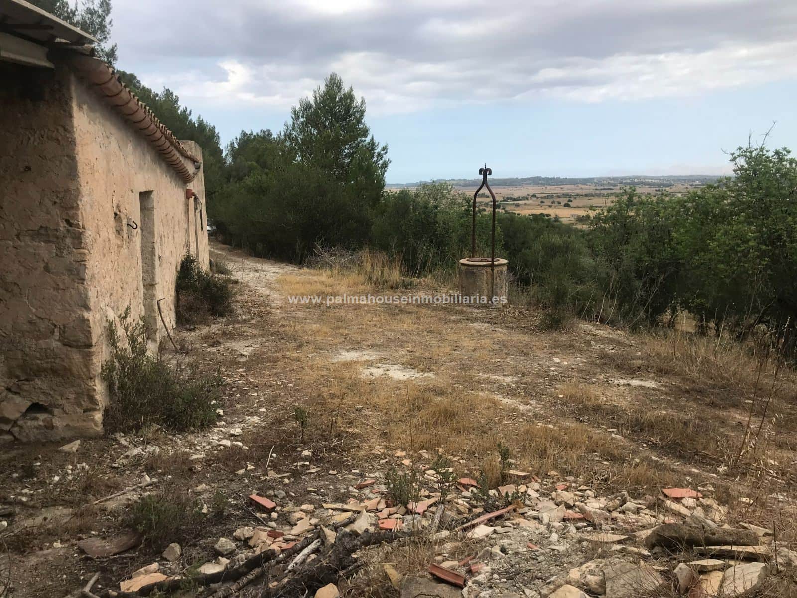 ENORME FINCA CON CONSTRUCCUION MUY PRIVADA!! - Foto 5