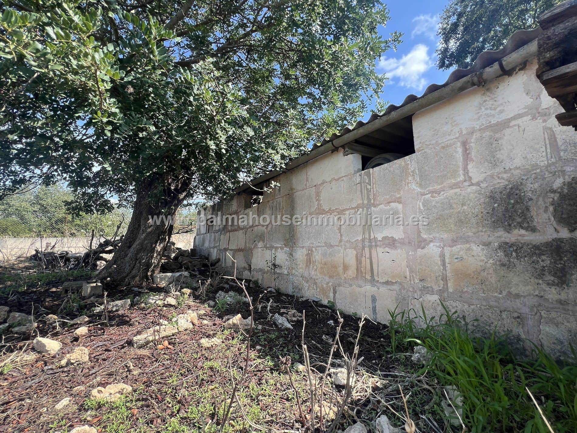 RUSTICA CON PEQUEÑA CONSTRUCCION - Foto 4