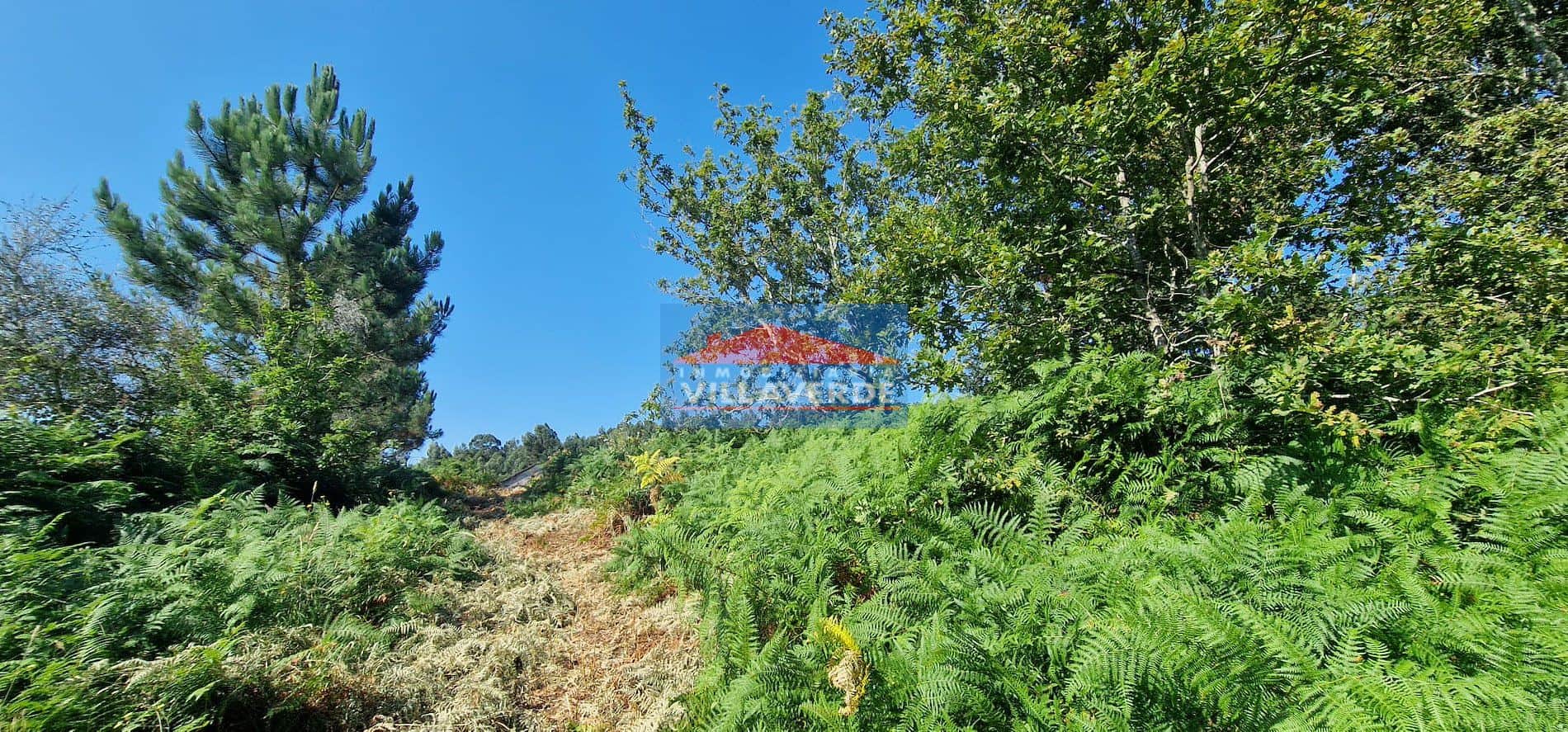 PARCELA EDIFICABLE EN CANGAS ZONA MAGADALENA - Foto 1