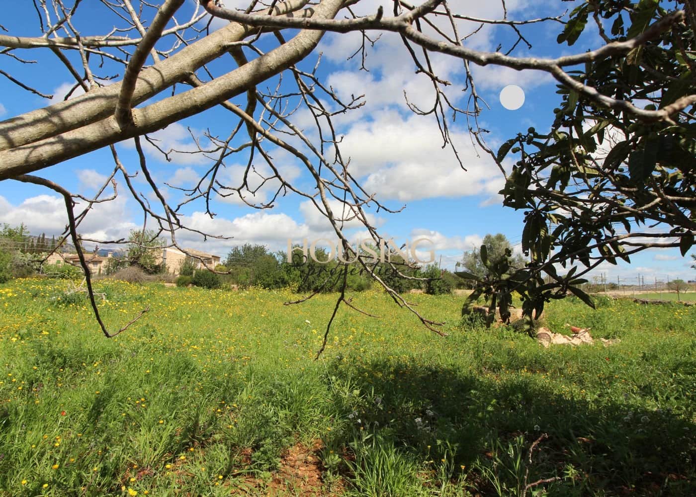 FINCA RUSTICA A REFORMAR EN SANTA MARÍA DEL CAMÍ - Foto 2