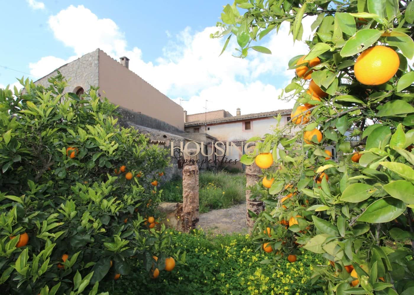 FINCA RUSTICA A REFORMAR EN SANTA MARÍA DEL CAMÍ - Foto 5