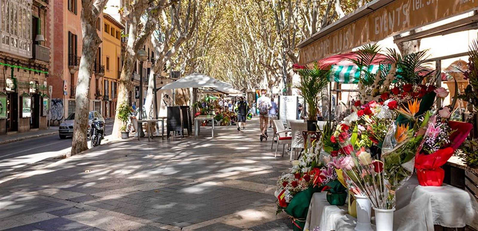 ZONA RAMBLAS. PEQUEÑO EDIFICIO A REFORMAR - Foto 1