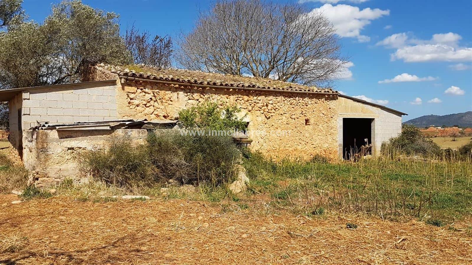 Gran finca rústica edificable - Foto 2
