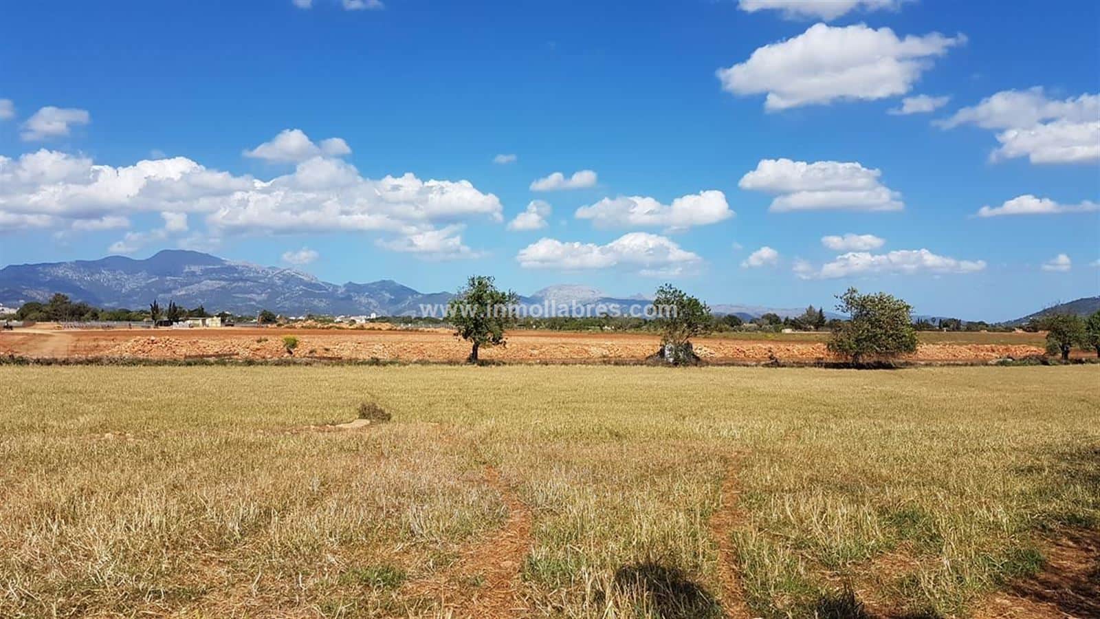 Gran finca rústica edificable - Foto 3