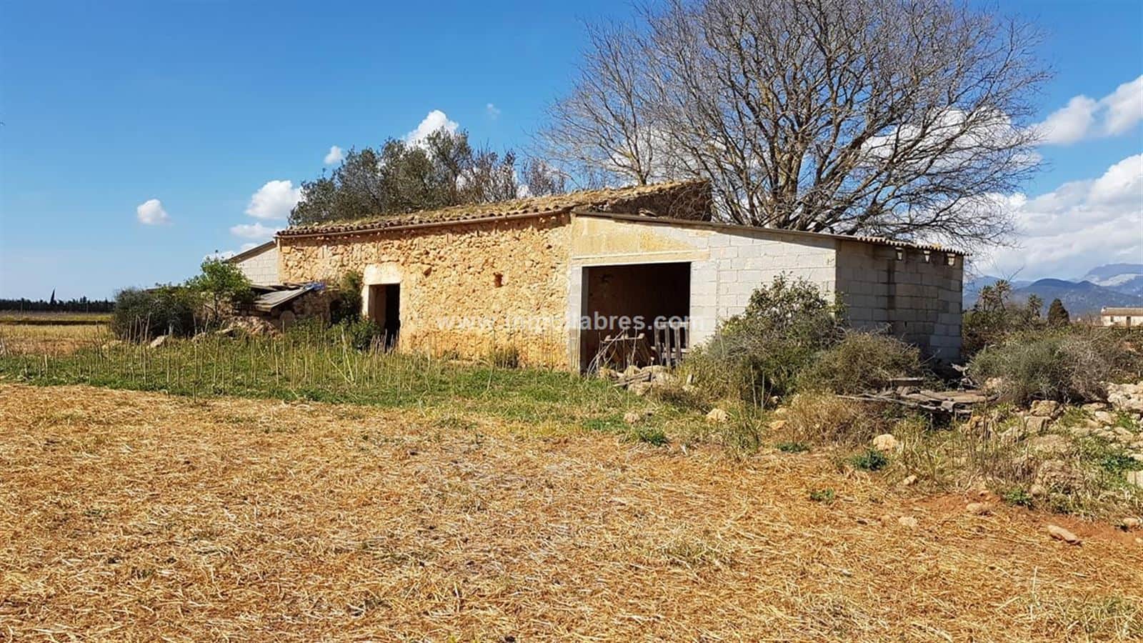 Gran finca rústica edificable - Foto 1