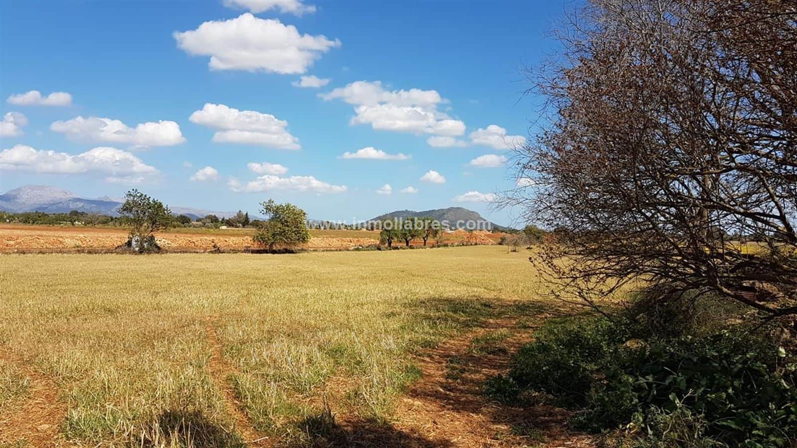 Gran finca rústica edificable - Foto 4
