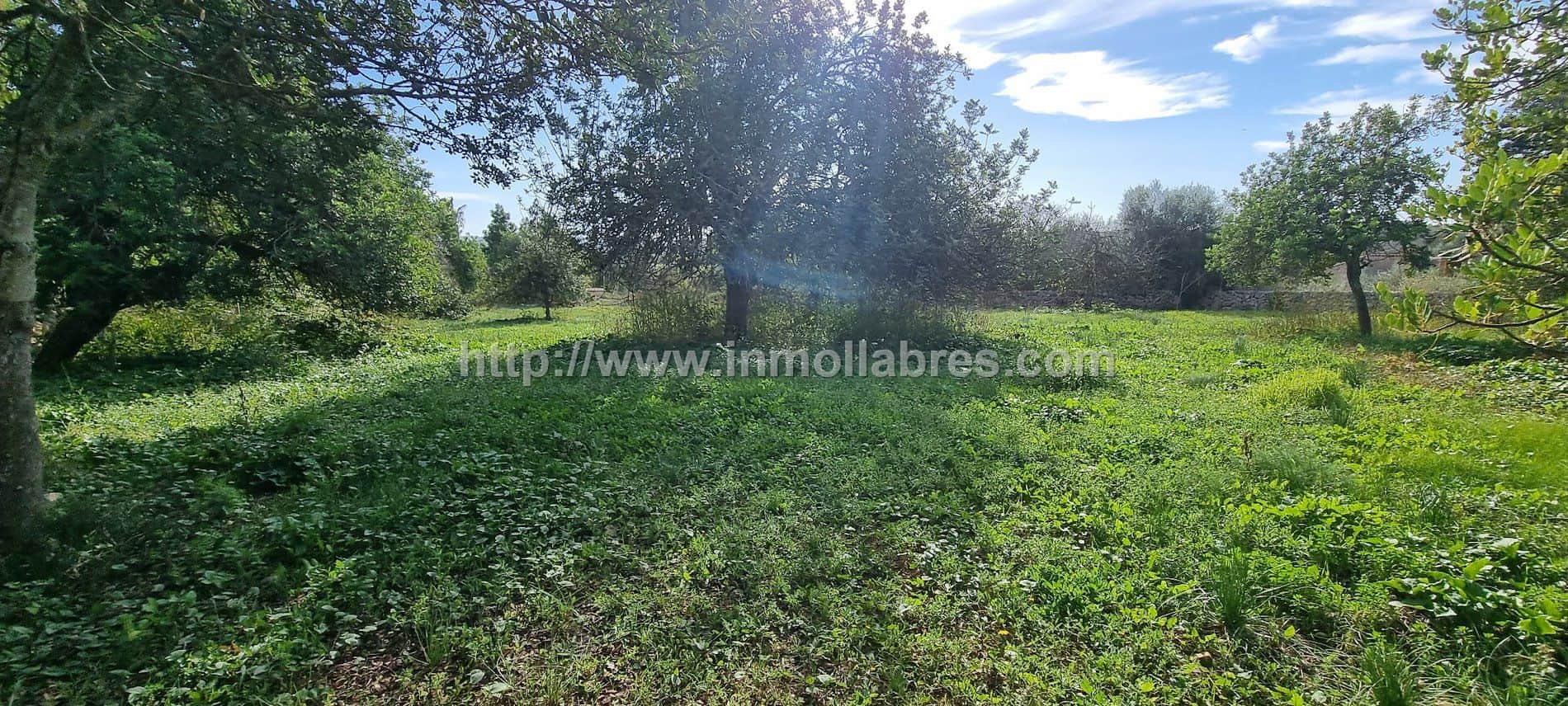 Gran finca rústica edificable - Foto 5