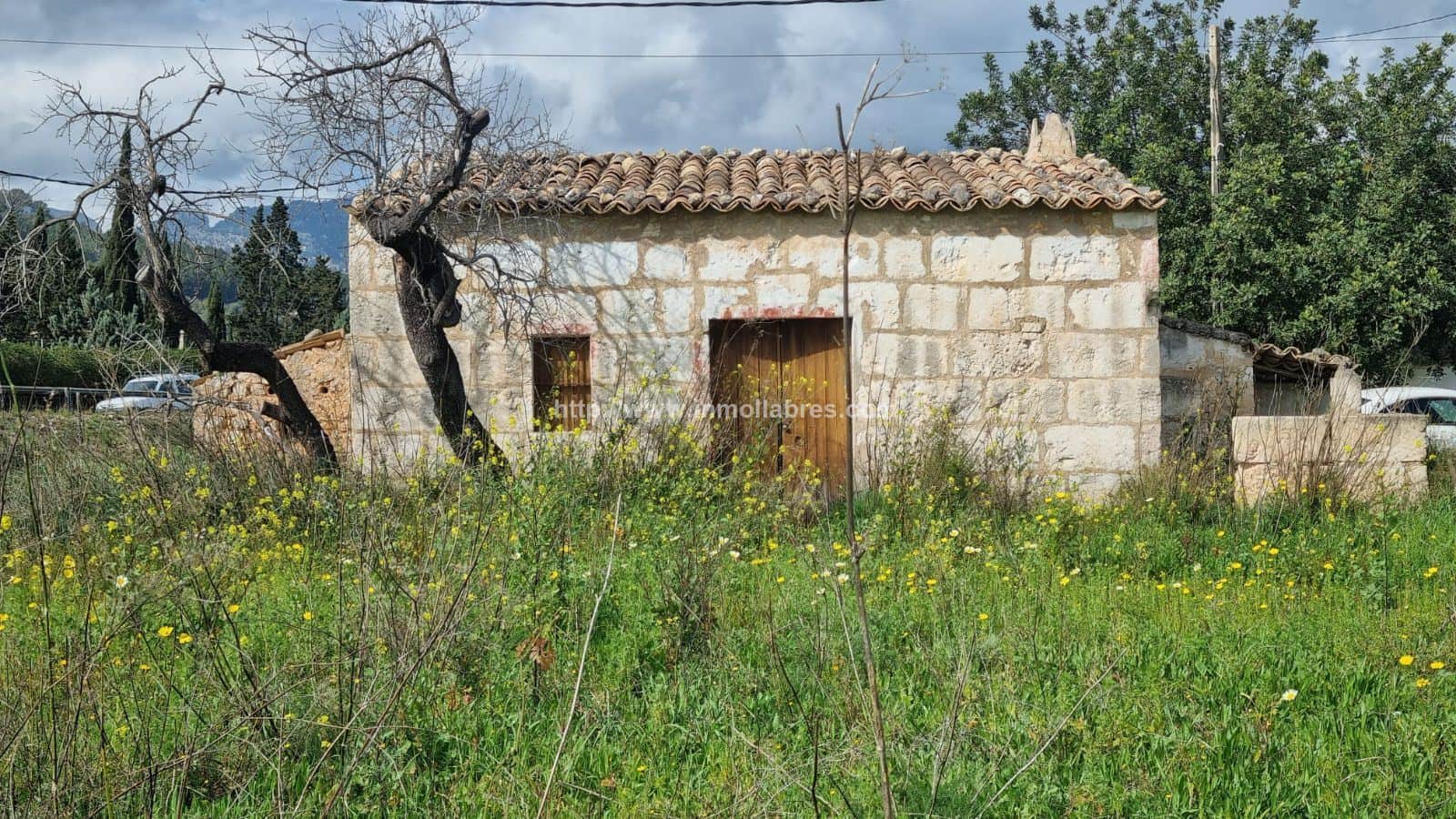 PRECIOSA FINCA RUSTICA - Foto 2