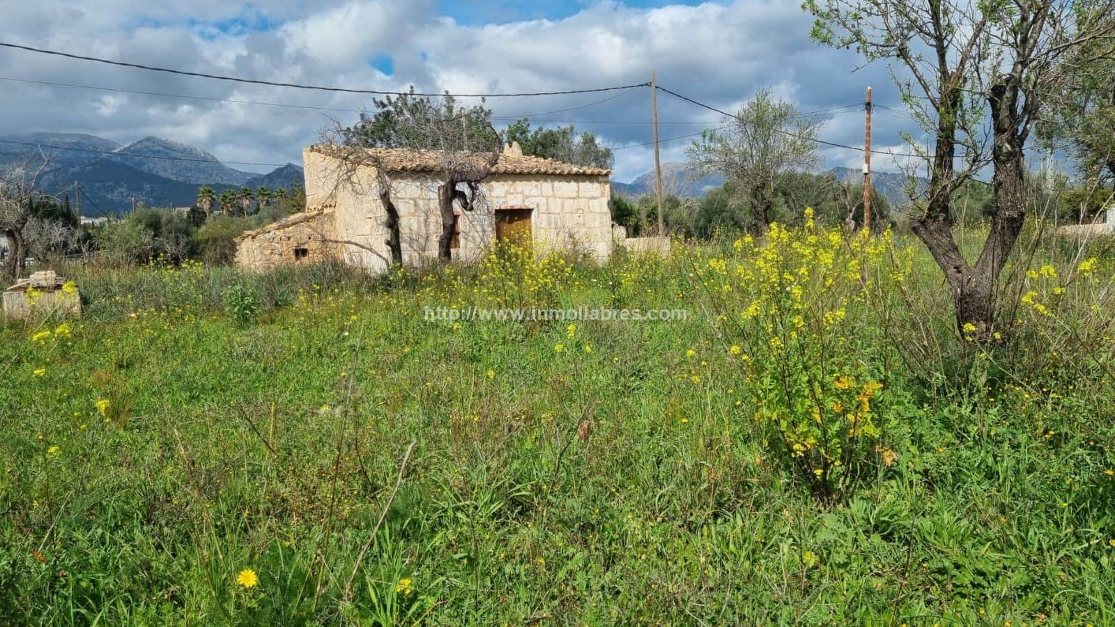 PRECIOSA FINCA RUSTICA - Foto 3