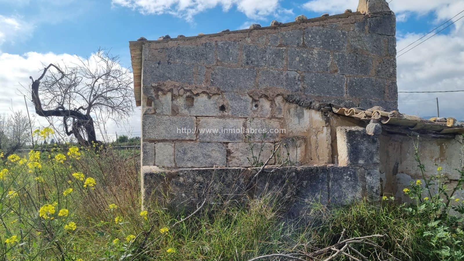 PRECIOSA FINCA RUSTICA - Foto 5