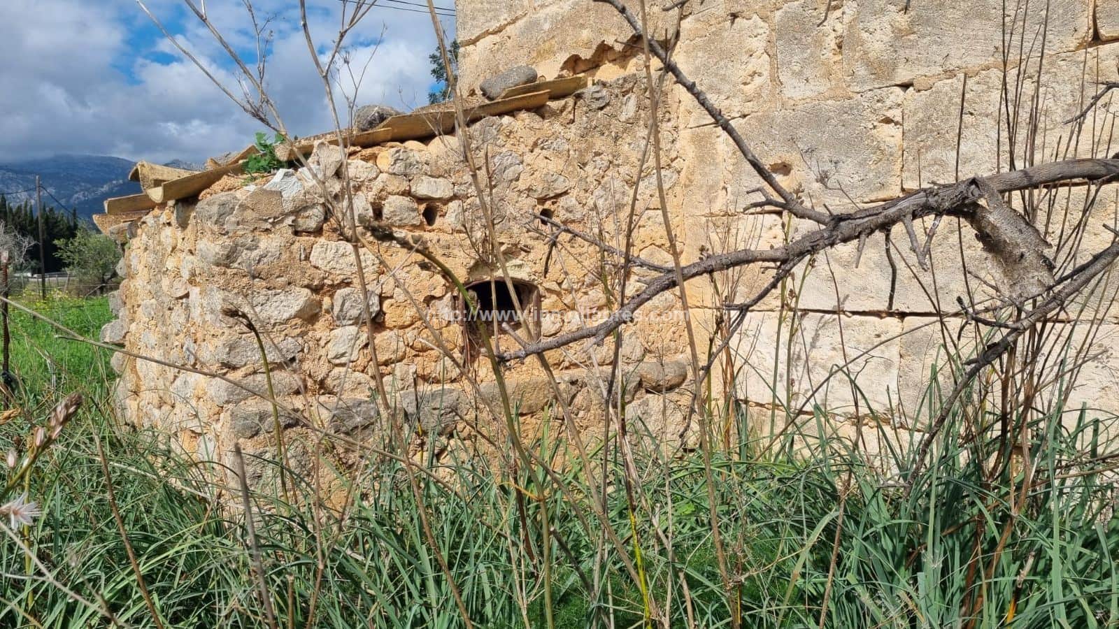 PRECIOSA FINCA RUSTICA - Foto 4