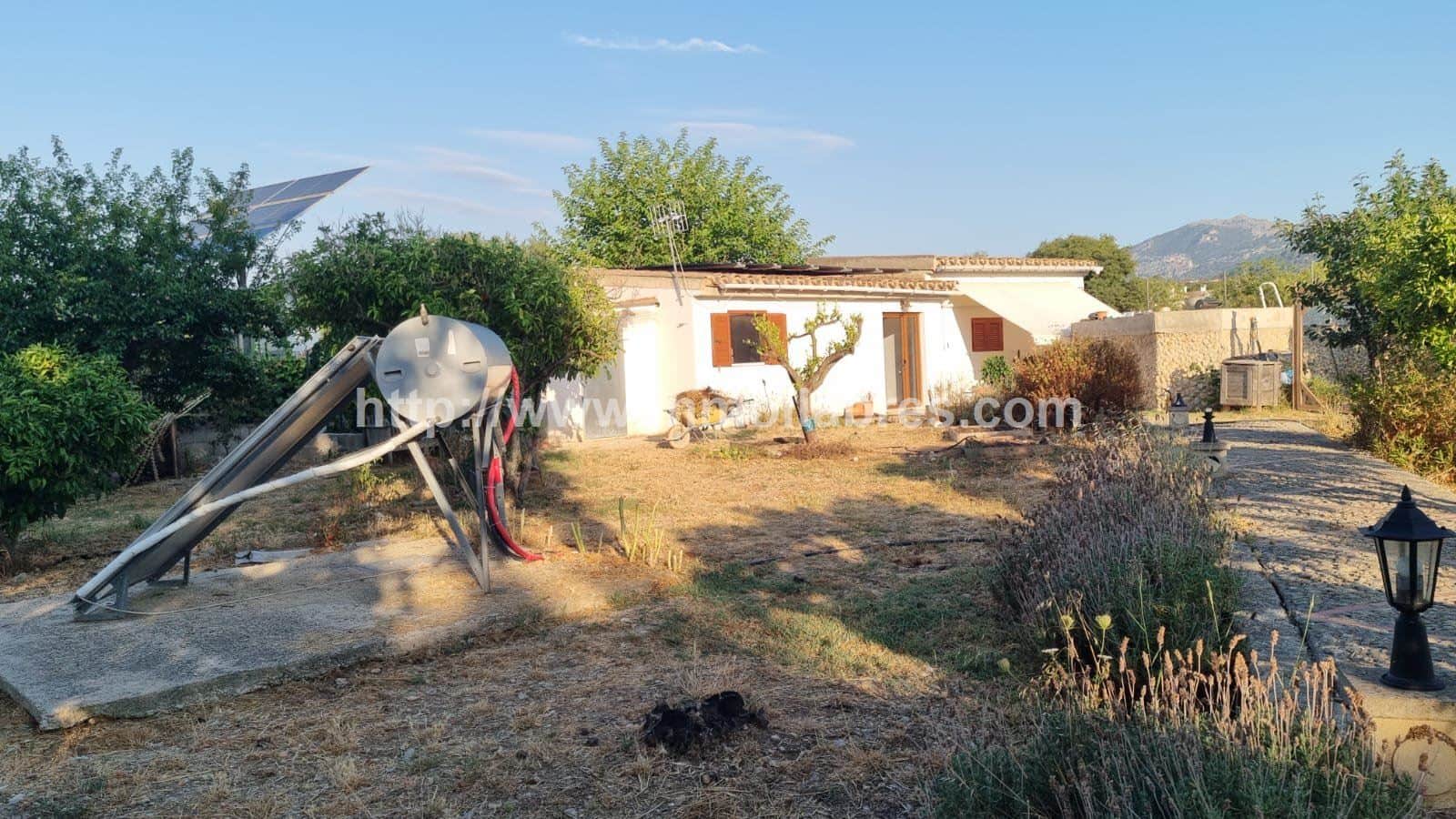 PRECIOSA FINCA EN SELVA CON DOS EDIFICACIONES - Foto 5