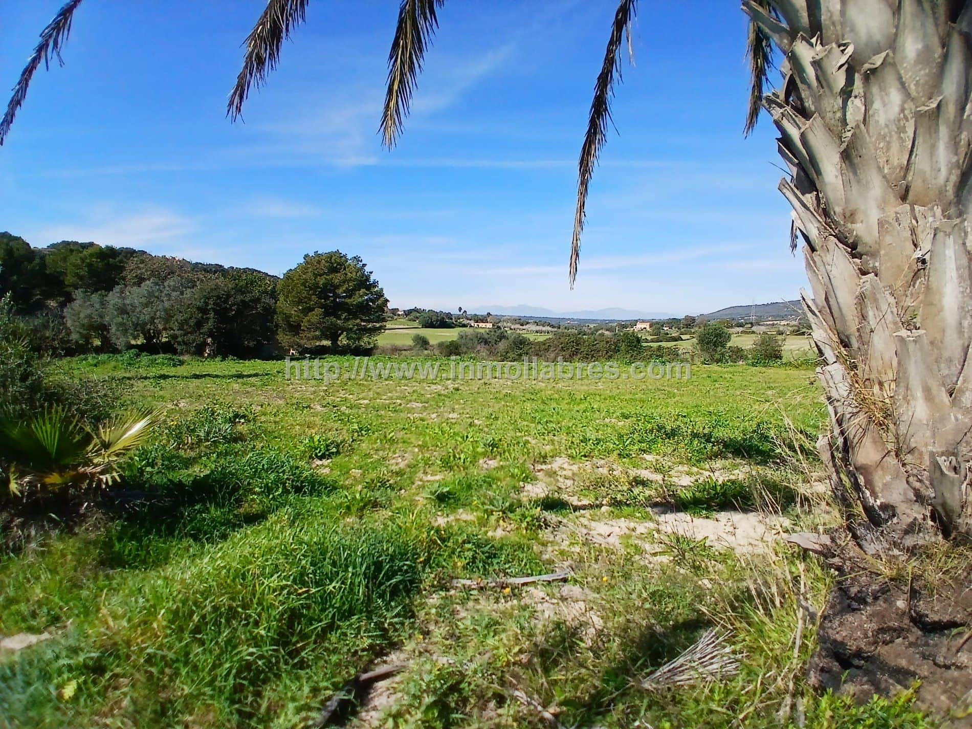BONITA FINCA EN MANACOR - Foto 2