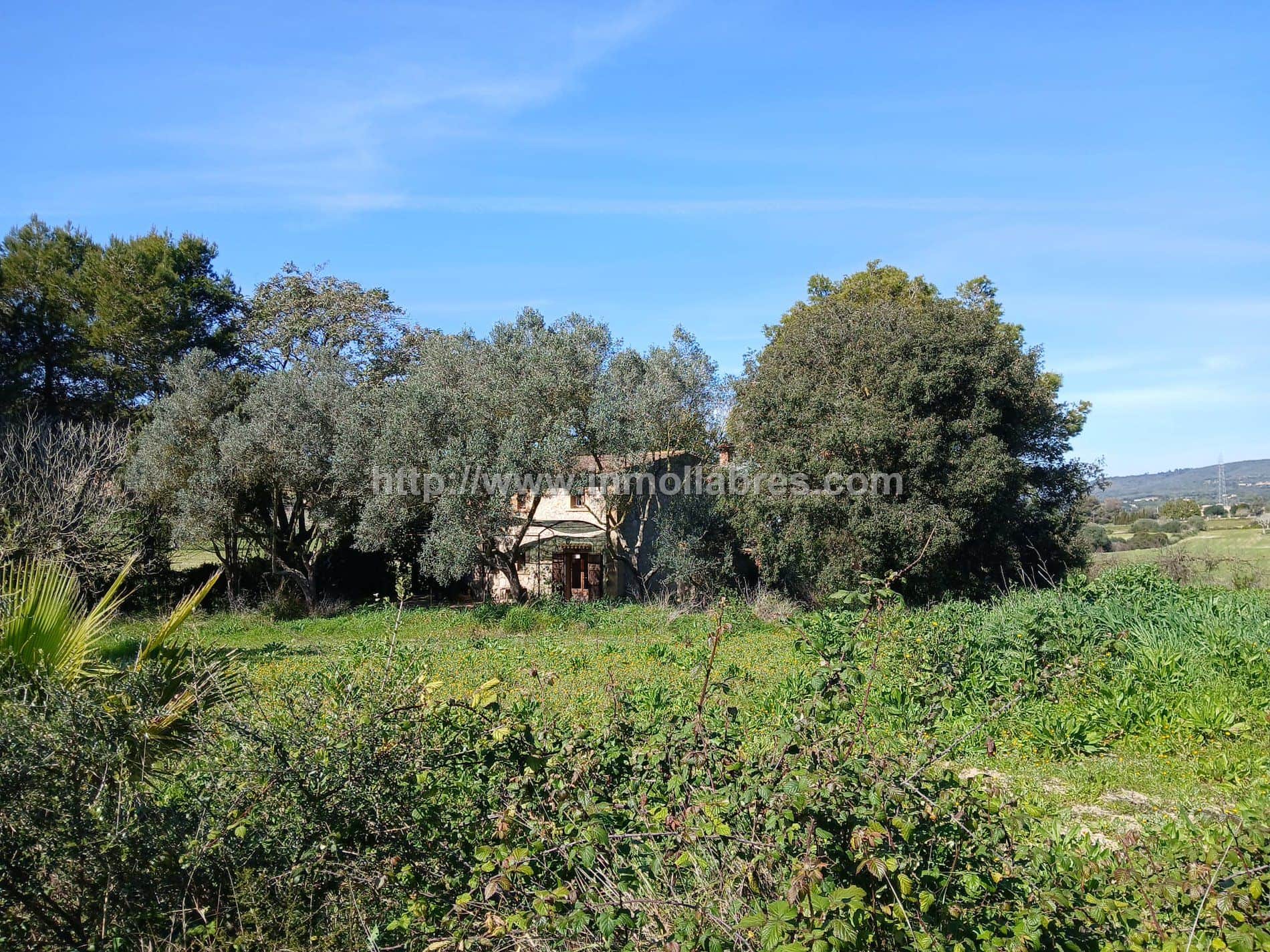BONITA FINCA EN MANACOR - Foto 1