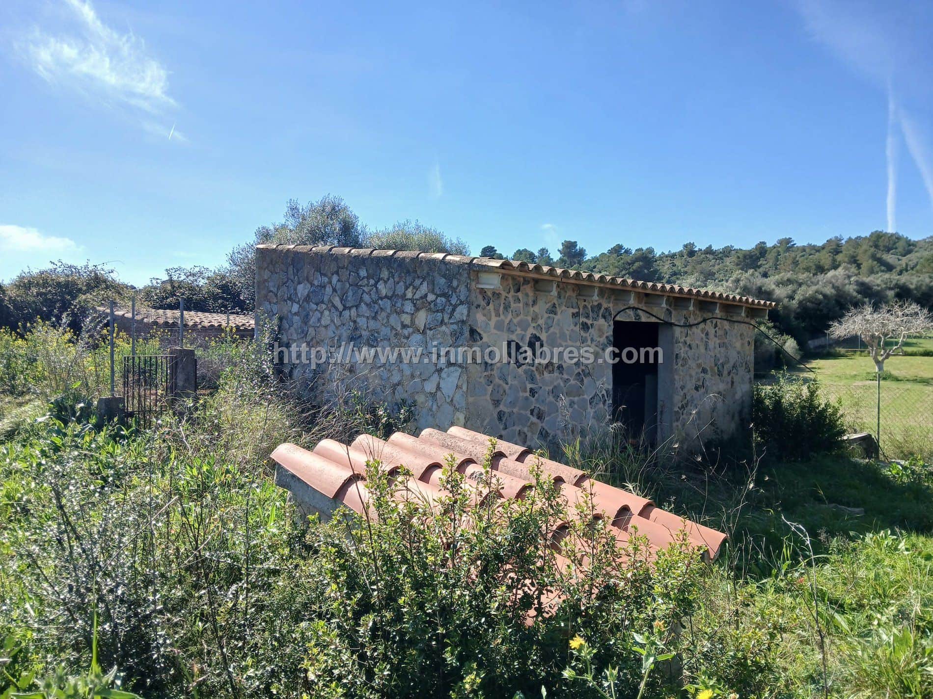 BONITA FINCA EN MANACOR - Foto 3