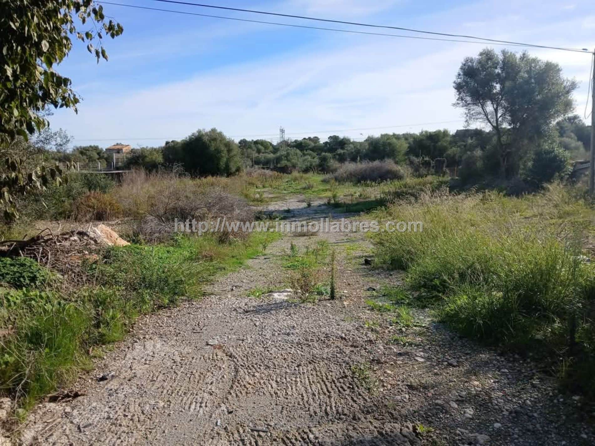 SE VENDE GRAN NAVE EN MURO - Foto 5