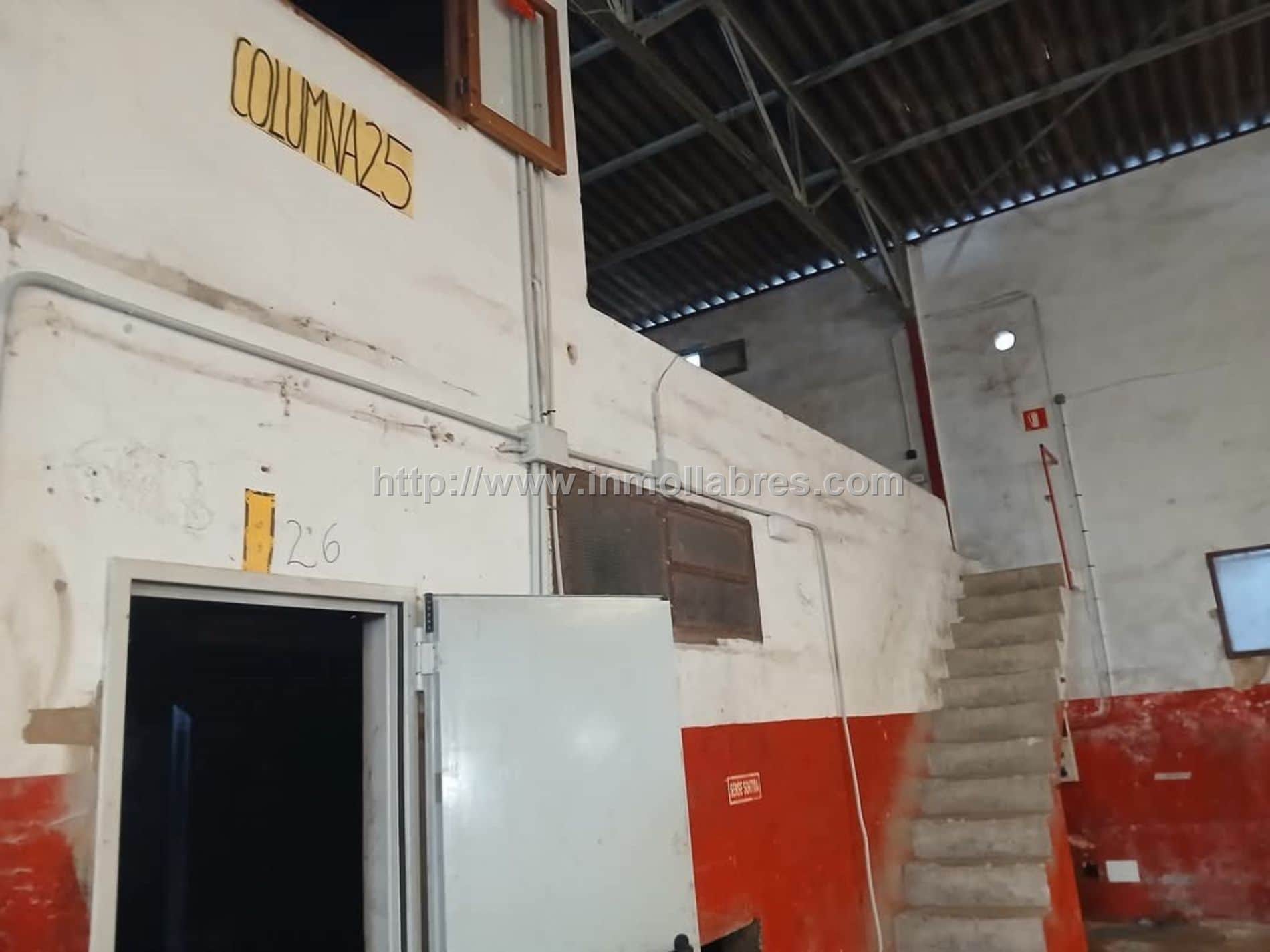 SE VENDE GRAN NAVE EN MURO - Foto 3