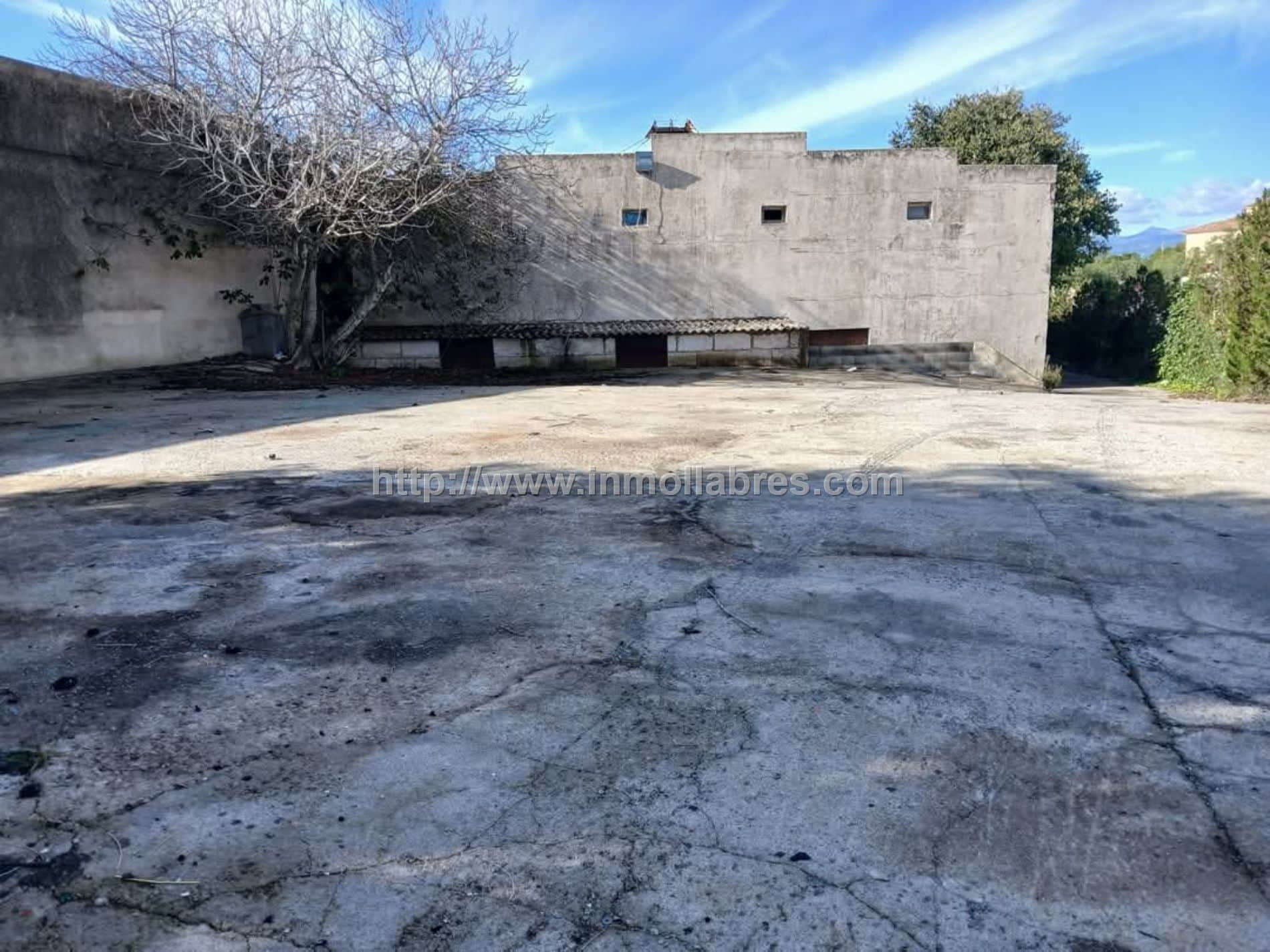 SE VENDE GRAN NAVE EN MURO - Foto 1