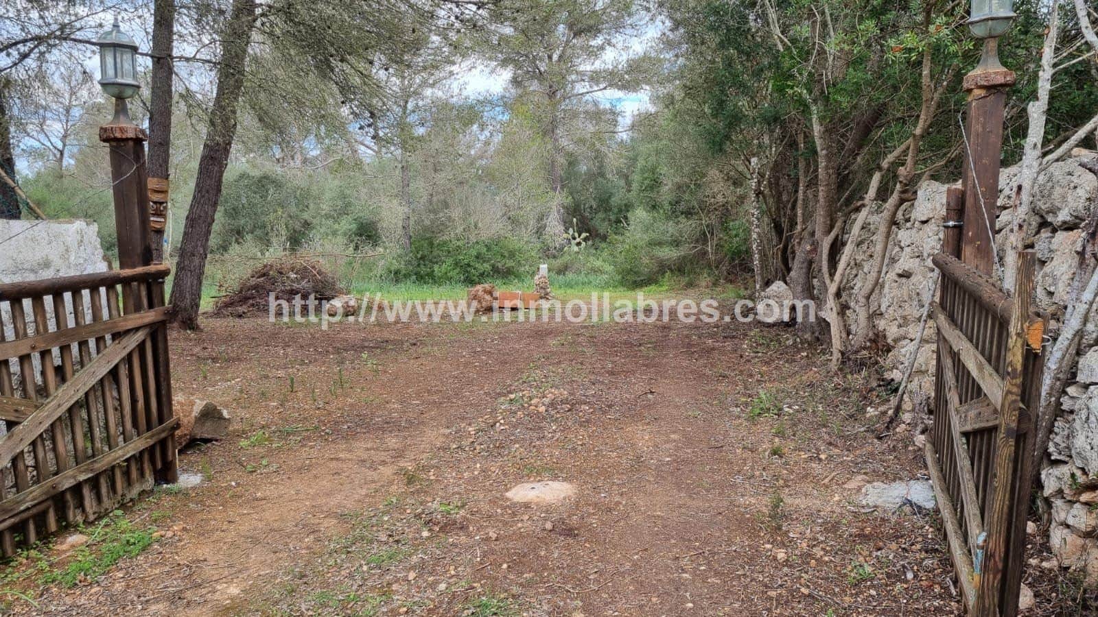 BONITA FINCA EN LLORET DE VISTALEGRE - Foto 2