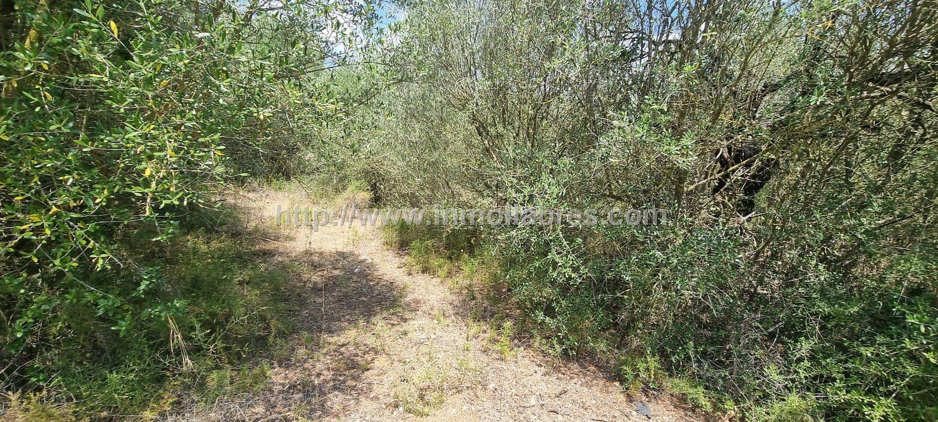 Terreno - Inca - Foto 1