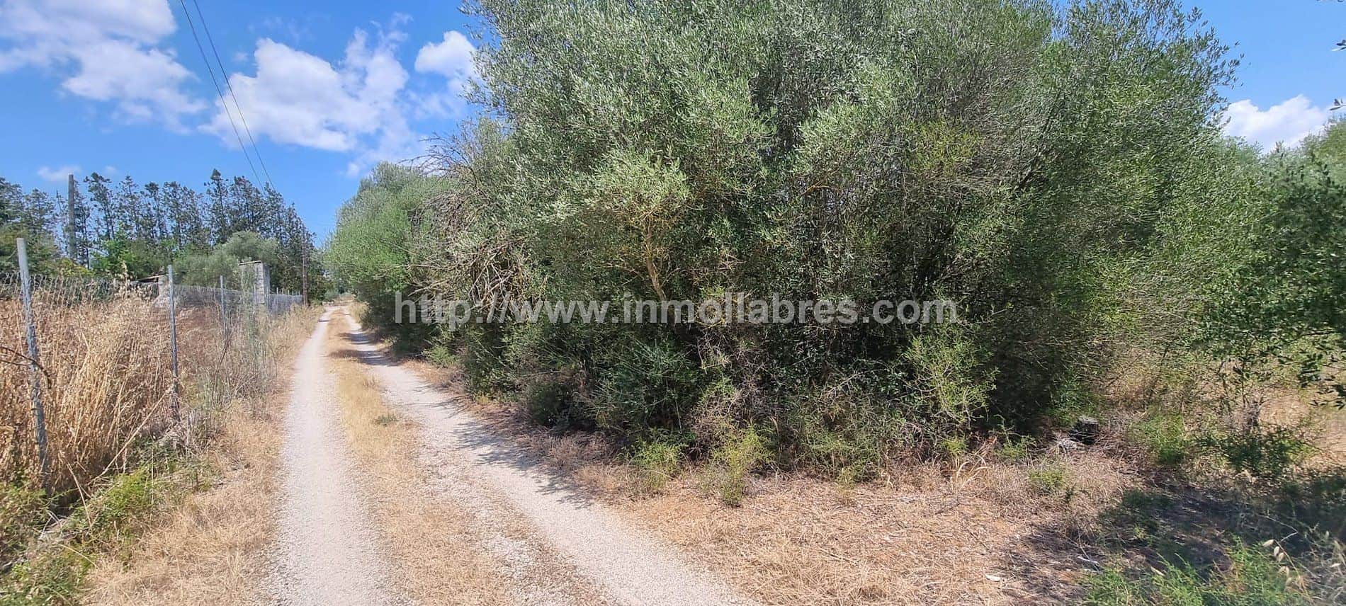 Terreno en venta en Inca - Foto 3