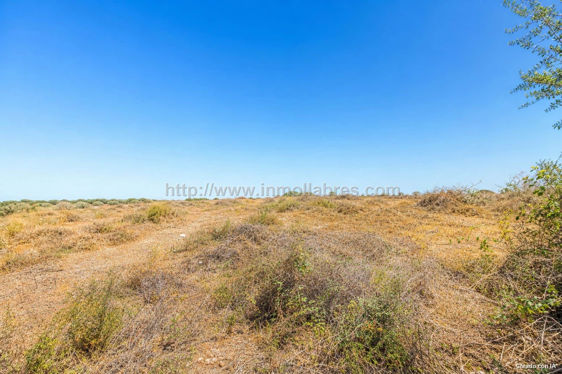 Terreno en venta en Inca - Foto 5